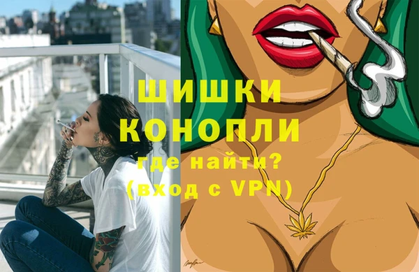 соль ск Няндома