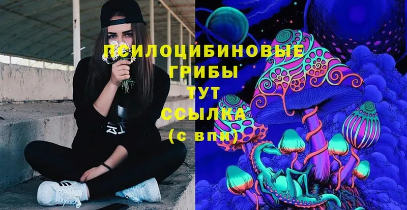 Псилоцибиновые грибы Cubensis  Баксан 