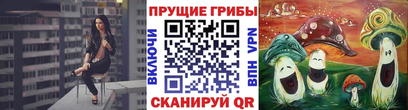 Псилоцибиновые грибы Cubensis  Баксан 