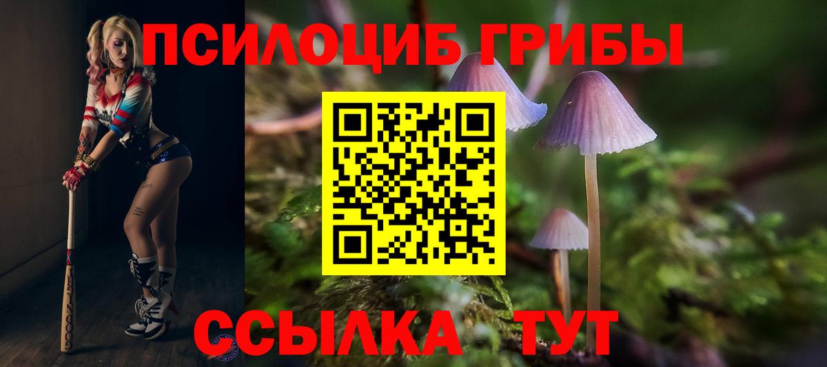 Псилоцибиновые грибы Cubensis  Баксан 